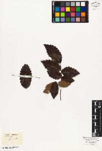 SW_BNB_s3010-03022_IMG-0000000001