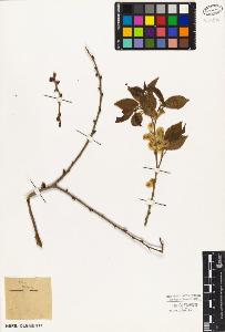 SW_BNB_s3010-03024_IMG-0000000001