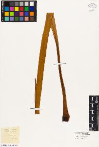 SW_BNB_s3010-03029_IMG-0000000001