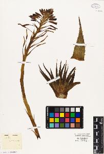 SW_BNB_s3010-03030_IMG-0000000001