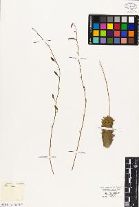 SW_BNB_s3010-03031_IMG-0000000001