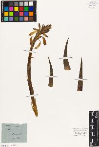 SW_BNB_s3010-03032_IMG-0000000001