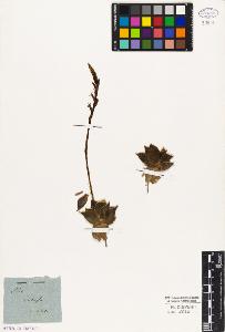 SW_BNB_s3010-03036_IMG-0000000001
