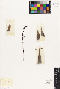 SW_BNB_s3010-03037_IMG-0000000001