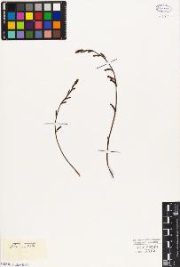 SW_BNB_s3010-03038_IMG-0000000001