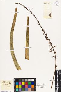 SW_BNB_s3010-03039_IMG-0000000001