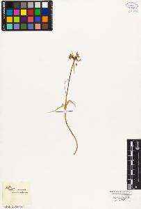 SW_BNB_s3010-03040_IMG-0000000001