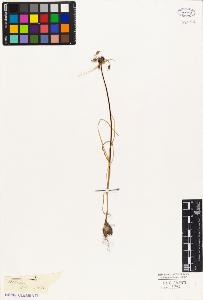 SW_BNB_s3010-03045_IMG-0000000001