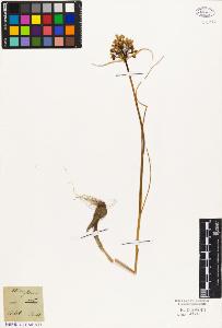 SW_BNB_s3010-03049_IMG-0000000001