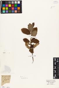 SW_BNB_s3010-03050_IMG-0000000001