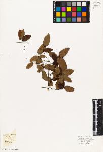 SW_BNB_s3010-03051_IMG-0000000001