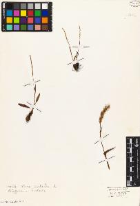 SW_BNB_s3010-03054_IMG-0000000001