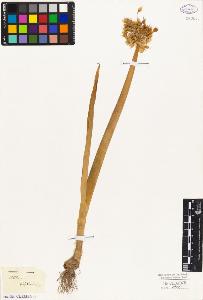 SW_BNB_s3010-03056_IMG-0000000001