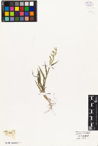 SW_BNB_s3010-03057_IMG-0000000001