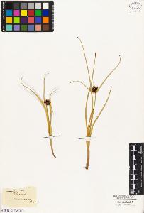 SW_BNB_s3010-03058_IMG-0000000001