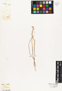 SW_BNB_s3010-03067_IMG-0000000001