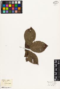 SW_BNB_s3010-03068_IMG-0000000001