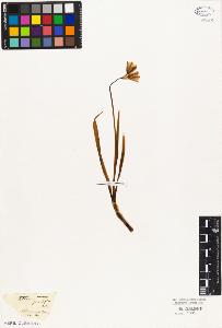 SW_BNB_s3010-03069_IMG-0000000001