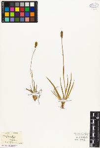SW_BNB_s3010-03071_IMG-0000000001
