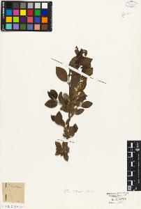 SW_BNB_s3010-03074_IMG-0000000001