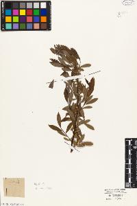 SW_BNB_s3010-03075_IMG-0000000001