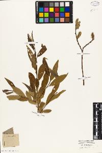 SW_BNB_s3010-03077_IMG-0000000001