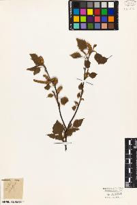 SW_BNB_s3010-03087_IMG-0000000001