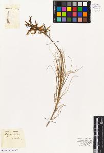 SW_BNB_s3010-03090_IMG-0000000001