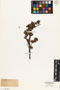 SW_BNB_s3010-03091_IMG-0000000001