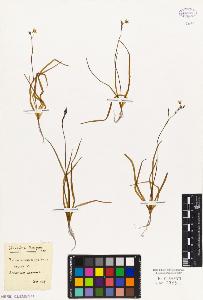 SW_BNB_s3010-03094_IMG-0000000001