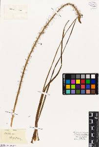 SW_BNB_s3010-03095_IMG-0000000001