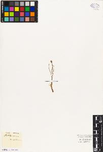 SW_BNB_s3010-03096_IMG-0000000001