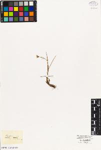 SW_BNB_s3010-03097_IMG-0000000001