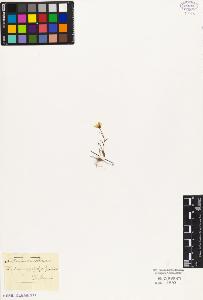 SW_BNB_s3010-03099_IMG-0000000001