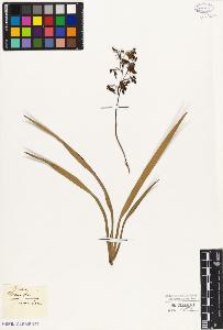 SW_BNB_s3010-03100_IMG-0000000001