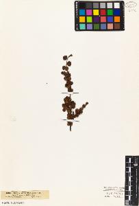 SW_BNB_s3010-03101_IMG-0000000001