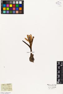 SW_BNB_s3010-03107_IMG-0000000001