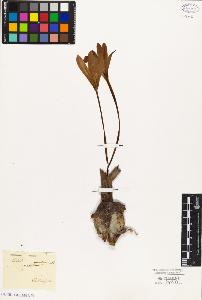 SW_BNB_s3010-03108_IMG-0000000001