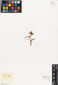 SW_BNB_s3010-03109_IMG-0000000001