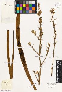 SW_BNB_s3010-03111_IMG-0000000001