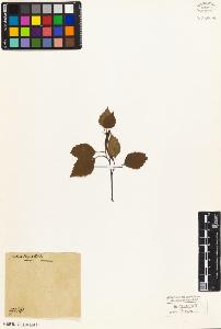 SW_BNB_s3010-03120_IMG-0000000001