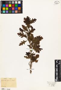 SW_BNB_s3010-03124_IMG-0000000001