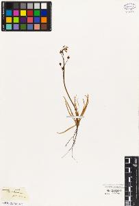 SW_BNB_s3010-03130_IMG-0000000001