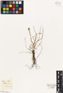SW_BNB_s3010-03133_IMG-0000000001
