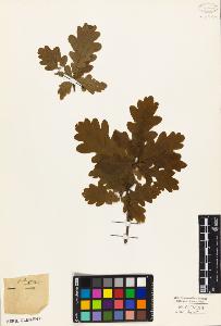 SW_BNB_s3010-03134_IMG-0000000001