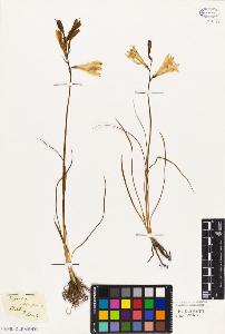 SW_BNB_s3010-03148_IMG-0000000001