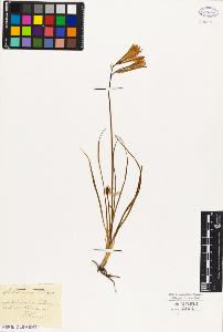 SW_BNB_s3010-03155_IMG-0000000001