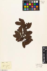 SW_BNB_s3010-03156_IMG-0000000001