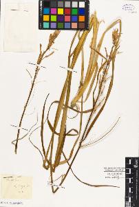 SW_BNB_s3010-03157_IMG-0000000001