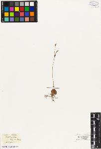 SW_BNB_s3010-03158_IMG-0000000001